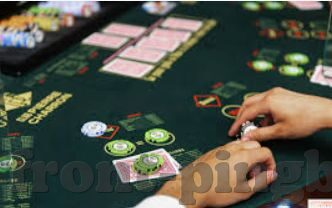 2019森林舞会开发-2019森林舞会，创新开发背后的故事